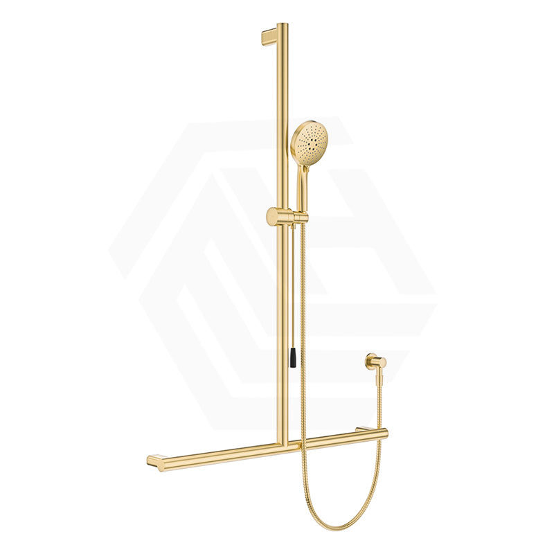 Fienza Care Inverted T Bar Rail with Handheld Shower Set with Push/Pull Slider in Various Colour