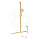 Fienza Care Inverted T Bar Rail with Handheld Shower Set with Push/Pull Slider in Various Colour