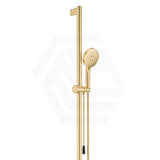 Fienza Care Inverted T Bar Rail with Handheld Shower Set with Push/Pull Slider in Various Colour