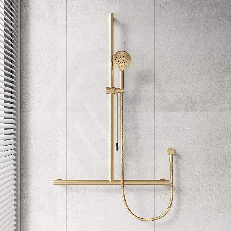 Fienza Care Inverted T Bar Rail Handheld Shower Set with Push/Pull Slider in Various Colour