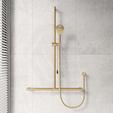 Fienza Care Inverted T Bar Rail Handheld Shower Set with Push/Pull Slider in Various Colour