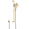 G#2(Gold) Fienza Empire Slim 3 Functions Hand Shower On Rail