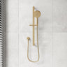 Fienza Empire Slim 3 Functions Hand Shower On Rail Variant Colour Available