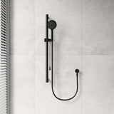 Fienza 900mm Straight Adjustable Care Rail Shower Set with Push/Pull Slider Variant Colour Available