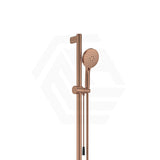 Fienza 900mm Straight Adjustable Care Rail Shower Set with Push/Pull Slider Variant Colour Available