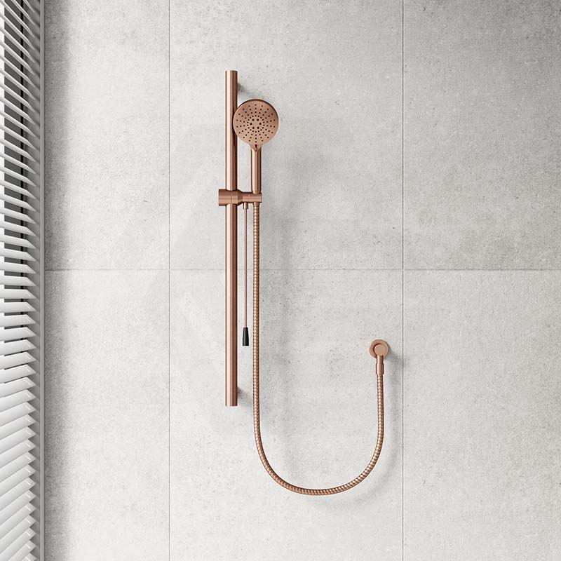 Fienza 900mm Straight Adjustable Care Rail Shower Set with Push/Pull Slider Variant Colour Available