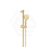 Fienza 900mm Straight Ajustable Care Rail with Handheld Shower Set in Various Colour