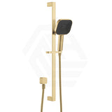 Fienza Kuro Soft Square Handheld Shower on Sliding Rail with Water Inlet - Variant Colour Available