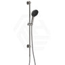 Fienza Kuro Handheld Shower on Sliding Rail with Water Inlet - Variant Colour Available