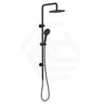 Fienza Kaya Twin Shower Top Water Inlet Variant Colour Available