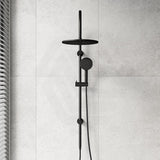 Fienza Empire Slim Curved Twin Shower Variant Colour Available Top Water Inlet