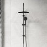 Fienza Empire Slim Curved Twin Shower Variant Colour Available Top Water Inlet