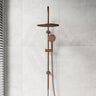 Fienza Empire Slim Curved Twin Shower Variant Colour Available Top Water Inlet