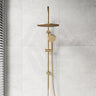 Fienza Empire Slim Curved Twin Shower Variant Colour Available Top Water Inlet
