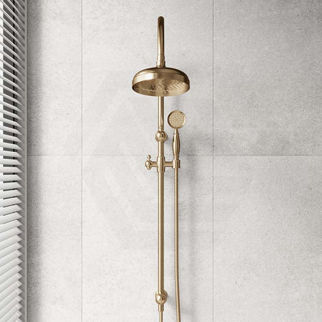 Fienza Lillian Twin Shower Top Water Inlet Variant Colour Available