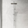 Fienza Tono Twin Shower 3-Function Top Water Inlet Available In Colours