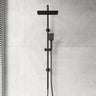 Fienza Tono Twin Shower 3-Function Top Water Inlet Available In Colours
