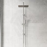 Fienza Tono Twin Shower 3-Function Top Water Inlet Available In Colours