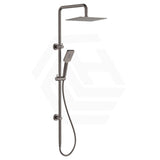 Fienza Tono Twin Shower 3-Function Top Water Inlet Available In Colours