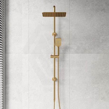 Fienza Tono Twin Shower 3-Function Top Water Inlet Available In Colours