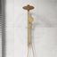 Fienza Kaya Twin Rail Shower Top Water Inlet Variant Colour Available
