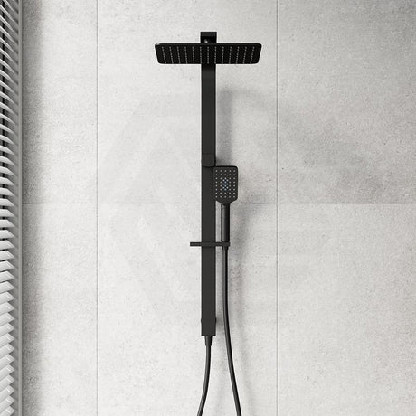 Fienza Tono 3-Function Top Water Inlet Twin Rail Shower Set Available In Colours