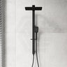 Fienza Tono 3-Function Top Water Inlet Twin Rail Shower Set Available In Colours
