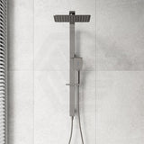 Fienza Tono 3-Function Top Water Inlet Twin Rail Shower Set Available In Colours