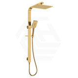 Fienza Tono 3-Function Top Water Inlet Twin Rail Shower Set Available In Colours