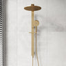 Fienza Empire Slim Deluxe Twin Shower Variant Colour Available Top Water Inlet