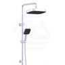 Fienza Kuro Twin Shower Soft Square Head Top Water Inlet - Variant Colour Available