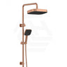 Fienza Kuro Twin Shower Soft Square Head Top Water Inlet - Variant Colour Available