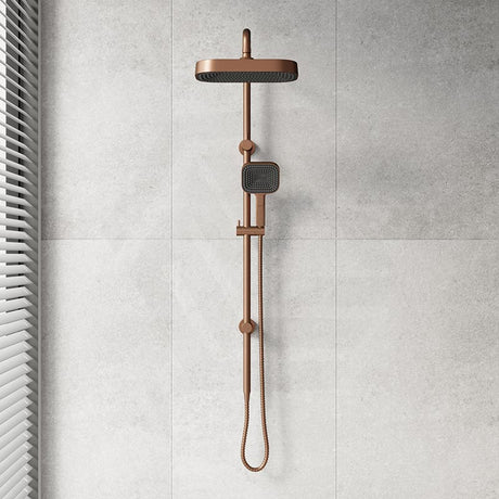 Fienza Kuro Twin Shower Soft Square Head Top Water Inlet - Variant Colour Available