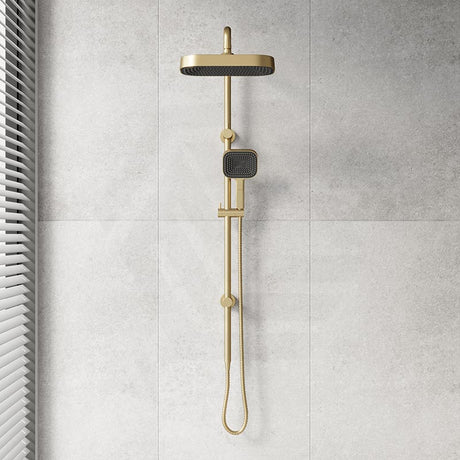Fienza Kuro Twin Shower Soft Square Head Top Water Inlet - Variant Colour Available