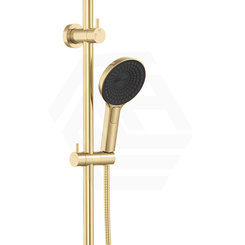 Fienza Kuro Twin Shower Round Head Top Water Inlet - Variant Colour Available