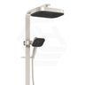 Fienza Kuro Deluxe Twin Shower Soft Square Head Top Water Inlet - Variant Colour Available