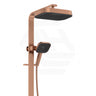 Fienza Kuro Deluxe Twin Shower Soft Square Head Top Water Inlet - Variant Colour Available