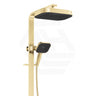 Fienza Kuro Deluxe Twin Shower Soft Square Head Top Water Inlet - Variant Colour Available