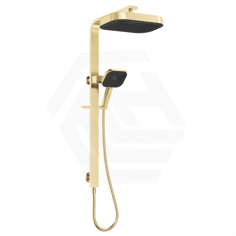 Fienza Kuro Deluxe Twin Shower Soft Square Head Top Water Inlet - Variant Colour Available