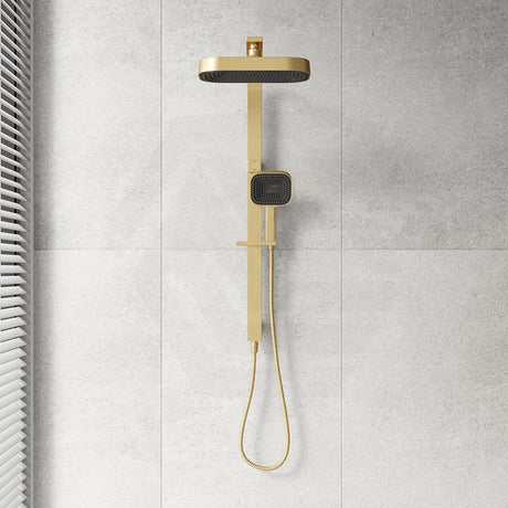 Fienza Kuro Deluxe Twin Shower Soft Square Head Top Water Inlet - Variant Colour Available