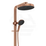 Fienza Kuro Deluxe Twin Shower Round Head Top Water Inlet - Variant Colour Available