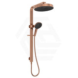 Fienza Kuro Deluxe Twin Shower Round Head Top Water Inlet - Variant Colour Available