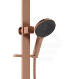 Fienza Kuro Deluxe Twin Shower Round Head Top Water Inlet - Variant Colour Available