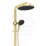 Fienza Kuro Deluxe Twin Shower Round Head Top Water Inlet - Variant Colour Available