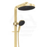 Fienza Kuro Deluxe Twin Shower Round Head Top Water Inlet - Variant Colour Available