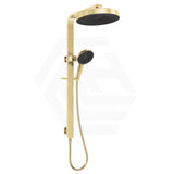 Fienza Kuro Deluxe Twin Shower Round Head Top Water Inlet - Variant Colour Available