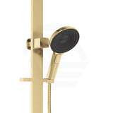Fienza Kuro Deluxe Twin Shower Round Head Top Water Inlet - Variant Colour Available