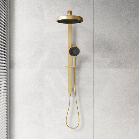 Fienza Kuro Deluxe Twin Shower Round Head Top Water Inlet - Variant Colour Available