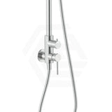 Fienza Kaya 316 Stainless Steel Wall Mounted Outdoor Round Twin Shower