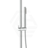 Fienza Kaya 316 Stainless Steel Wall Mounted Outdoor Round Twin Shower